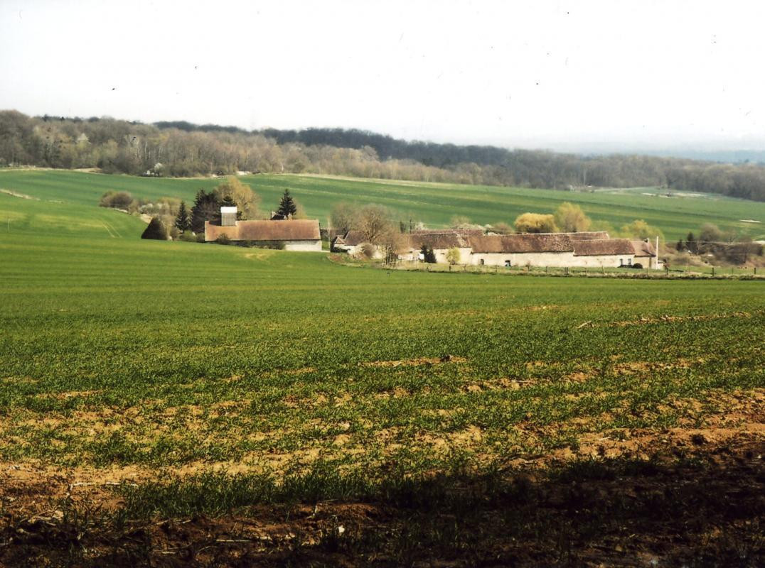 photo 0