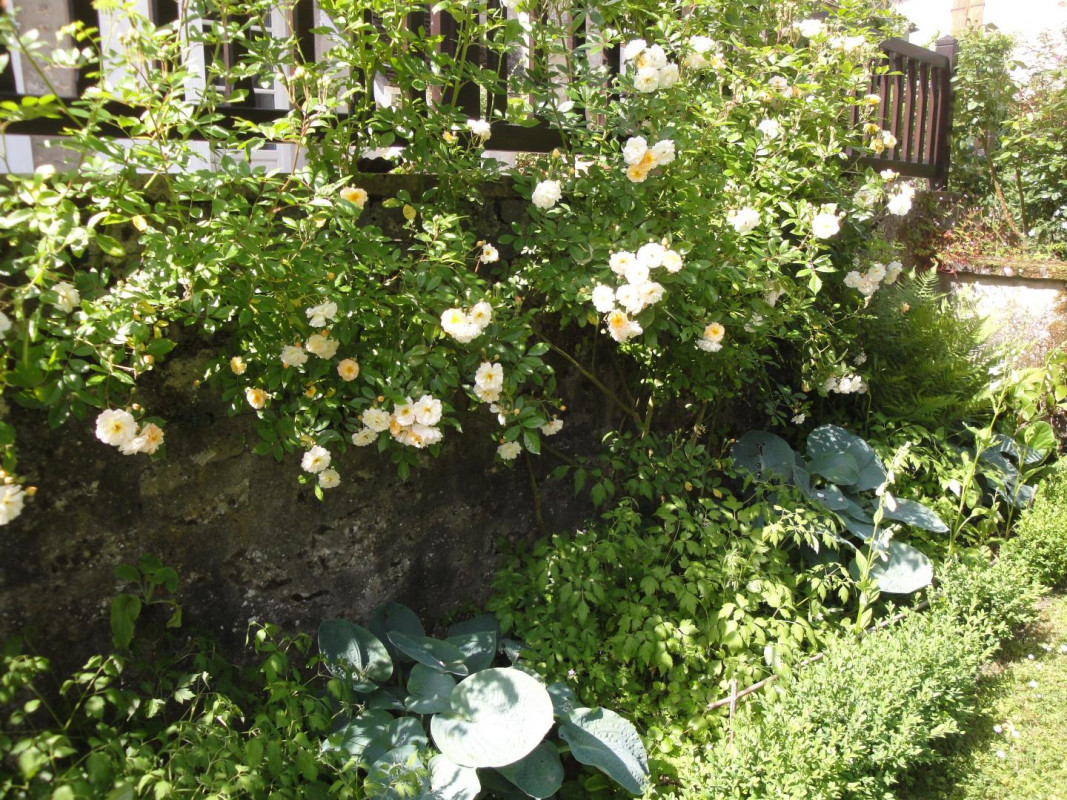 photo 30