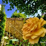 chambre-d-hotes - La Carpe - NEMOURS - Seine-et-Marne