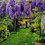 gite - Le Clos Thion - CHATEAU-LANDON - Seine-et-Marne