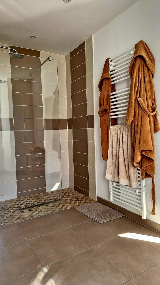 Salle d'eau privative chambre Cygne photo 32