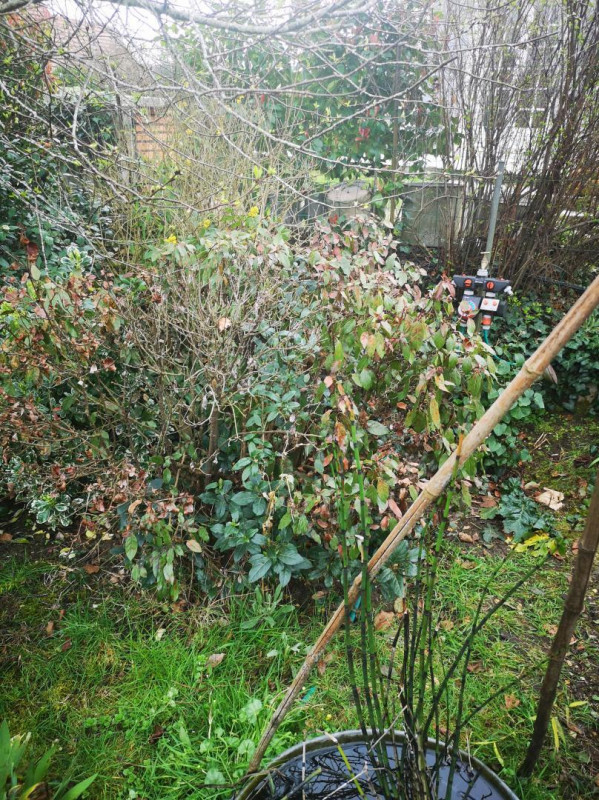 photo 39