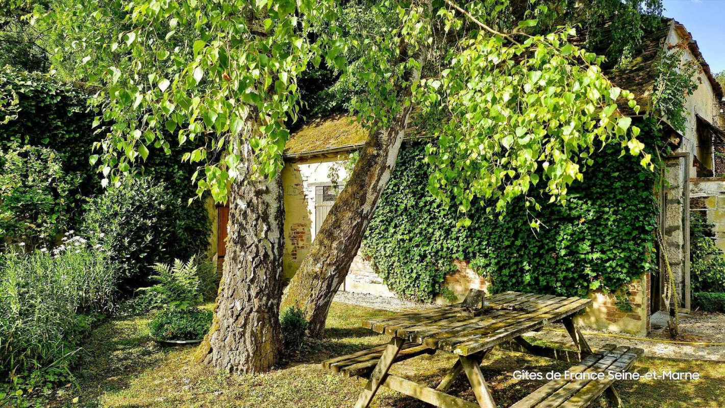 photo 66