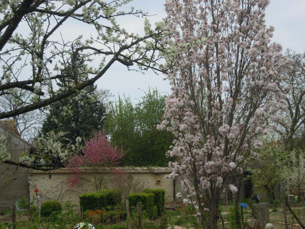 photo 53
